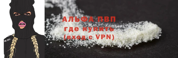 бошки Пересвет