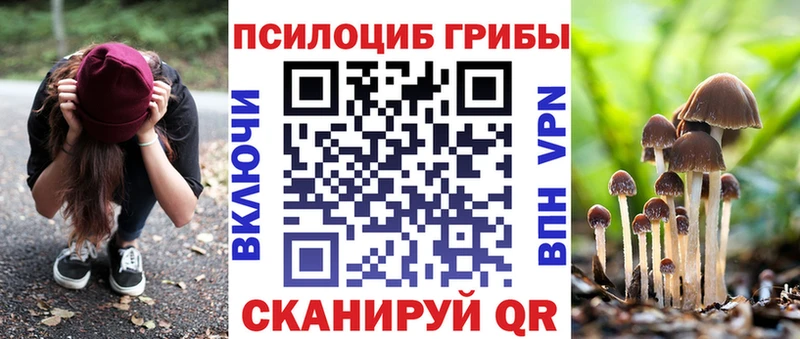 Галлюциногенные грибы MAGIC MUSHROOMS  купить   hydra ссылки  Сосновый Бор 