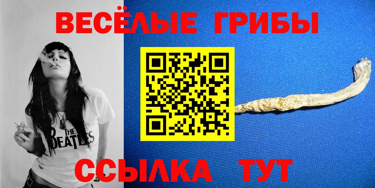 Псилоцибиновые грибы ЛСД  Вход с VPN  Сосновый Бор 